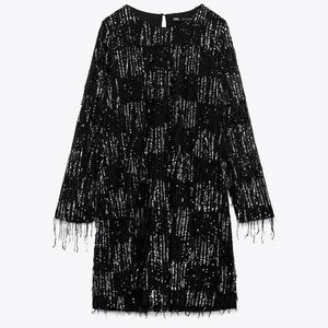 Zara Sequin Fringed Mini Dress